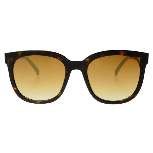 Taylor Sunglasses: Tortoise