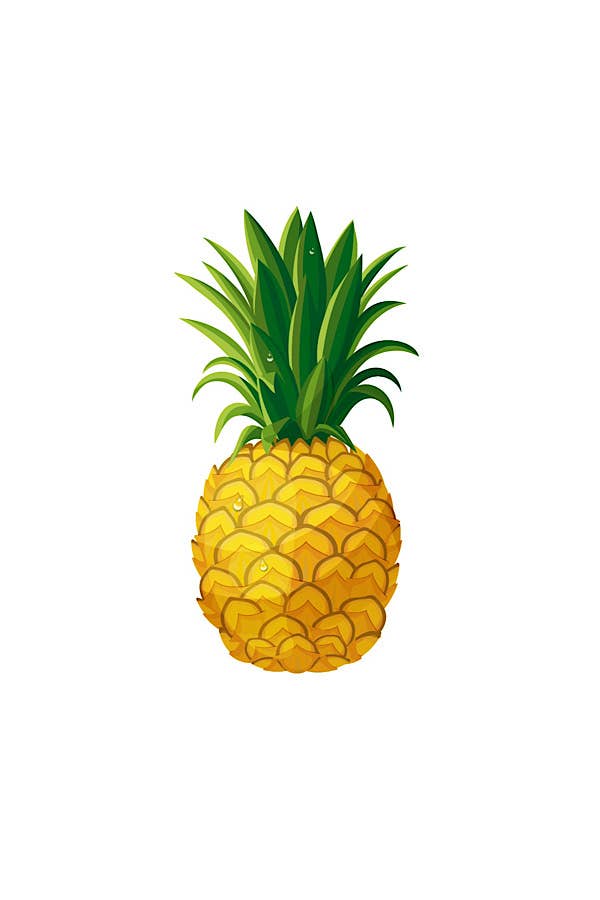 Pineapple Embroidered Patch