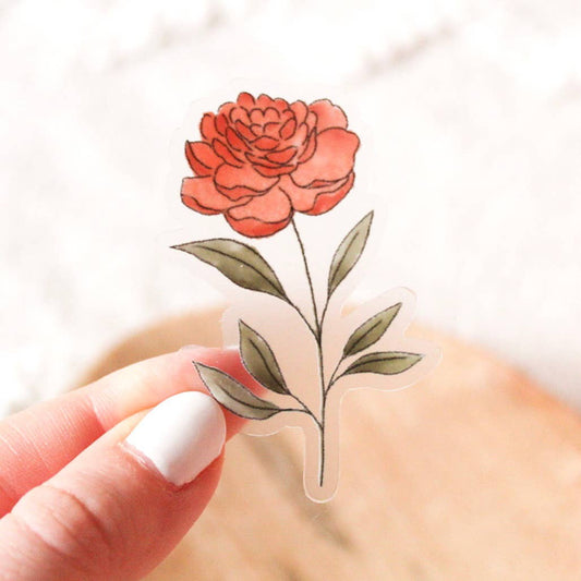 Clear Ranunculus Sticker 2.5x1.5in