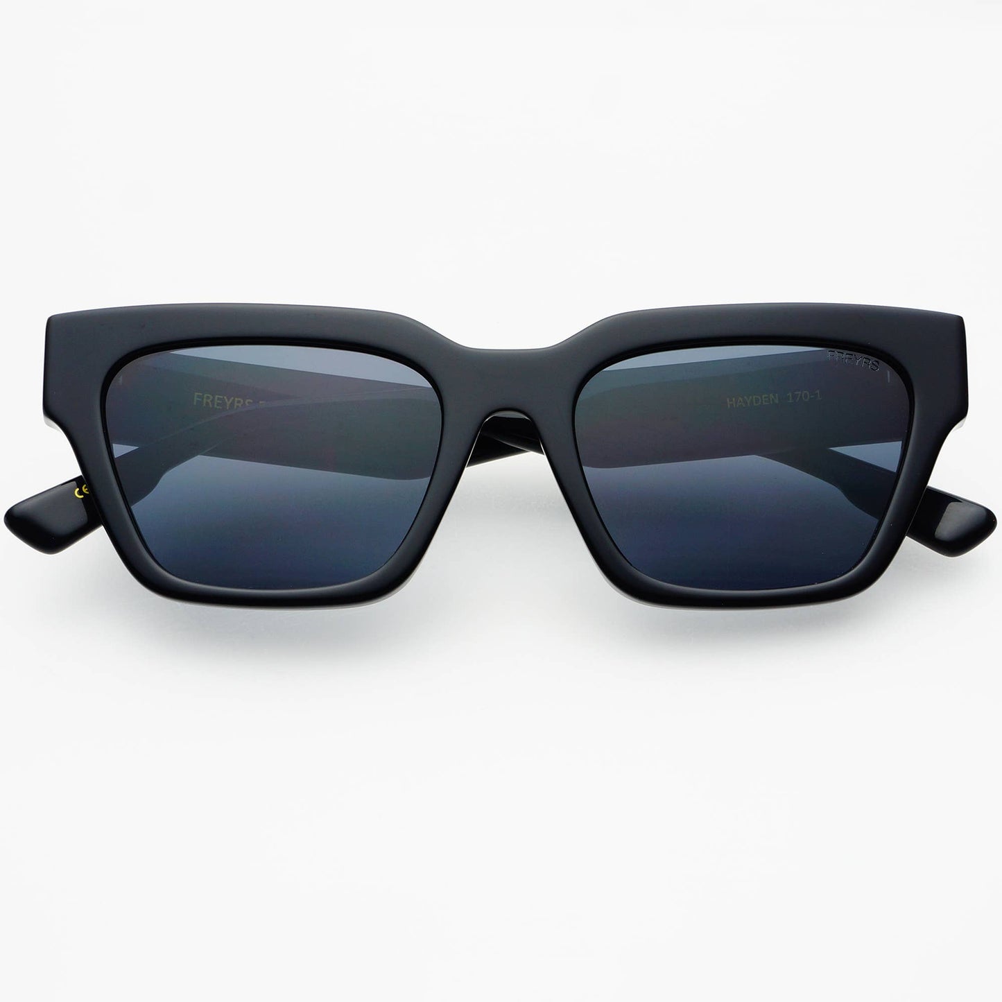 Hayden Acetate Unisex Rectangular Sunglasses: Black